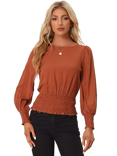 Allegra K Damen Oberteile Langarm Rundhalsausschnitt Gesmokt Taille Top Bluse Braun M von Allegra K