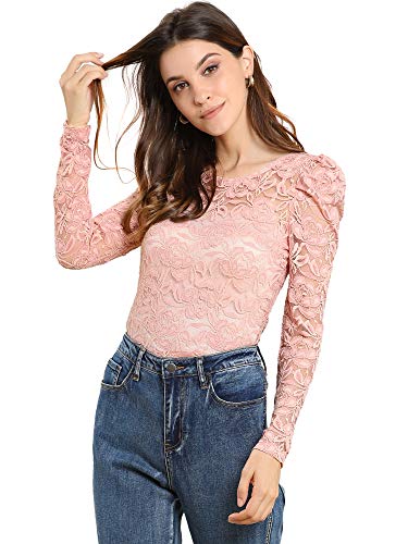 Allegra K Damen Spitze Semi Sheer Oberteil Langarm Stickerei Blumen Durchsichtig Bluse Shirt Pink L von Allegra K