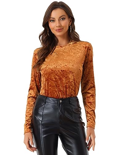 Allegra K Damen Langarm Rundhalsausschnitt Lässig Samt T-Shirt Top Bluse Braun XL von Allegra K