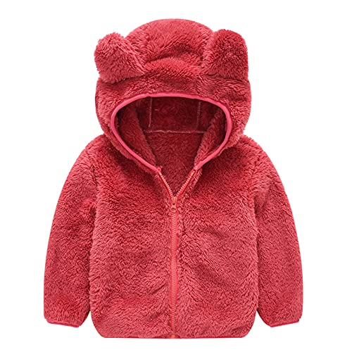 Neugeborenes Baby Mädchen Fleecejacke Herbst PlüSchjacke Winter Fleece Jacke Mit Kapuze Reißverschluss Kapuzenmantel Umhangjacke Dicke Warme Kleidung Oberbekleidung Wollfleece Wintermäntel von Allence