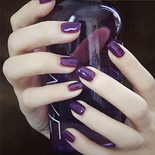 Allereya Coffin Short Press on Nails Glänzend Lila Künstliche Nägel French Clip on Nails Full Cover Acrylnägel Tipps für Frauen und Mädchen 24 Stück (Lila) von Allereya