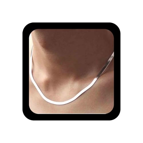 Allereya Punk Schlangenkette Silber Fischgrät Halskette Vintage Flache Kette Flexible Schlangenknochen Halskette Kette Schmuck für Frauen und Mädchen (Silber) von Allereya