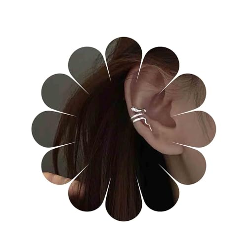 Allereya Vintage Schlange Ohrmanschette Ohrringe Winzige Schlange Ohr Warp Ohrringe Silber Schlange Ohr Climber Ohrringe Punk Schlange Fake Helix Manschette Ohrringe Schmuck Für Frauen Und Mädchen von Allereya