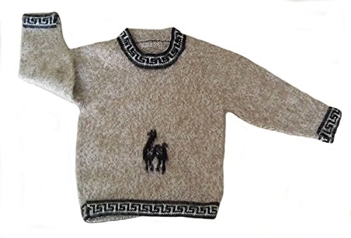 Alpacaandmore Kinder Unisex Langarm beige Farbener Rundhals Pullover Strickpullover Peruanische Alpakawolle 2-6 Jahre (4 Jahre) von Alpacaandmore