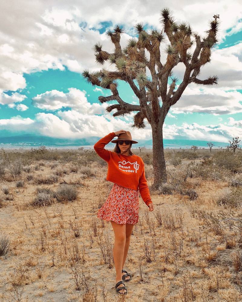 Desert Dweller Cropped Fleece Rundhalsausschnitt Rust Cactus Sweatshirt von AlpenglowApparel