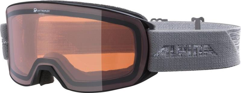 Alpina Sports Skibrille NAKISKA Q BLACK-GREY MATT, (1-St) von Alpina Sports