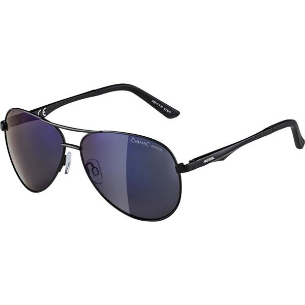 ALPINA Brille A 107 von Alpina