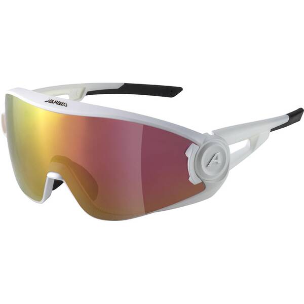 ALPINA Herren Brille 5W1NG QV von Alpina