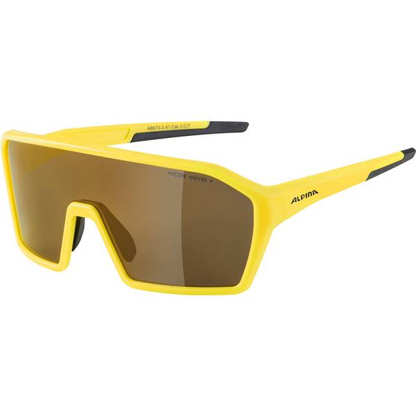 ALPINA Herren Brille ALPINA RAM HM+ von Alpina