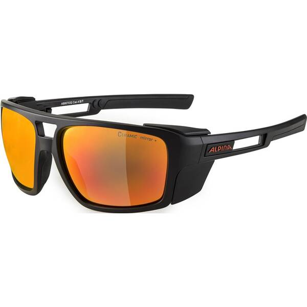 ALPINA Herren Brille ALPINA SKYWALSH von Alpina