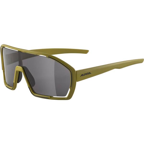 ALPINA Herren Brille BONFIRE von Alpina