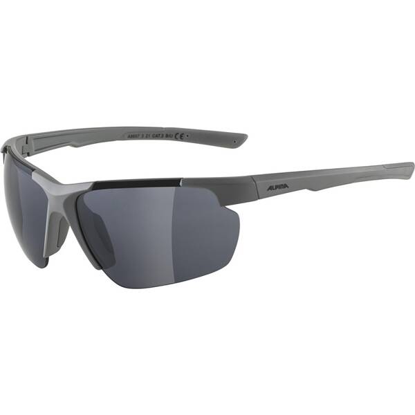 ALPINA Herren Brille DEFEY HR von Alpina