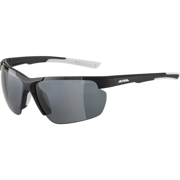 ALPINA Herren Brille DEFEY HR von Alpina