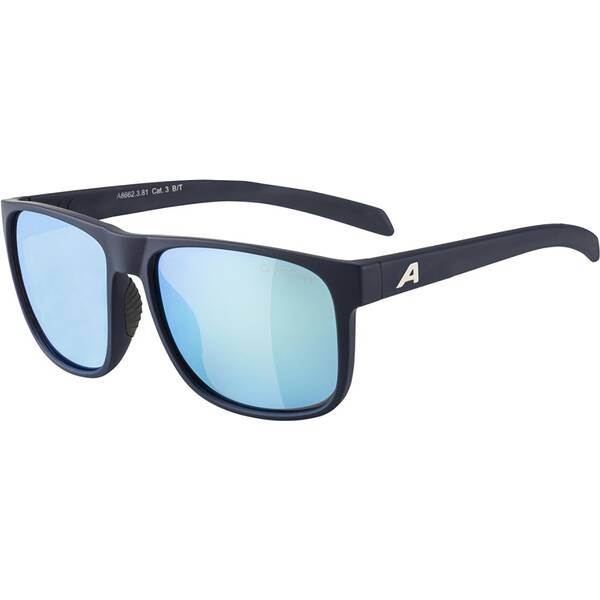 ALPINA Herren Brille NACAN III von Alpina