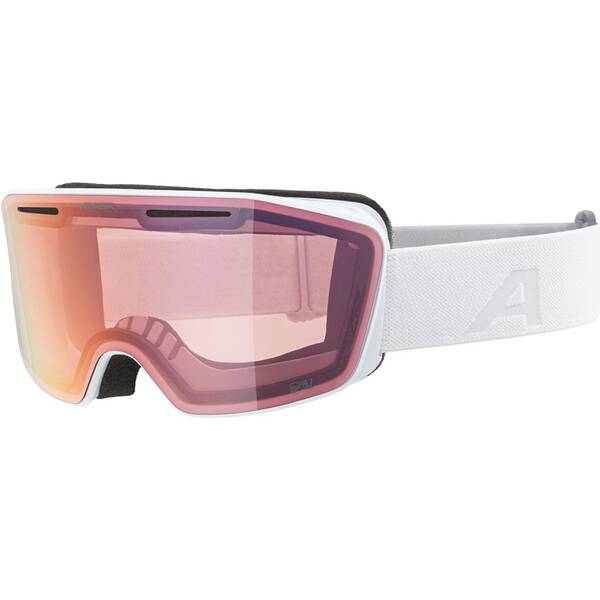 ALPINA Herren Brille NENDAZ QV von Alpina