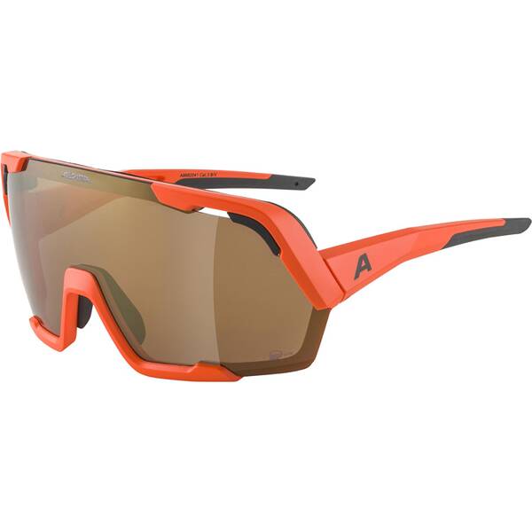 ALPINA Herren Brille ROCKET BOLD Q-LITE von Alpina