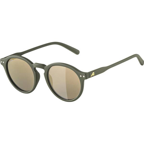 ALPINA Herren Brille SNEEK von Alpina