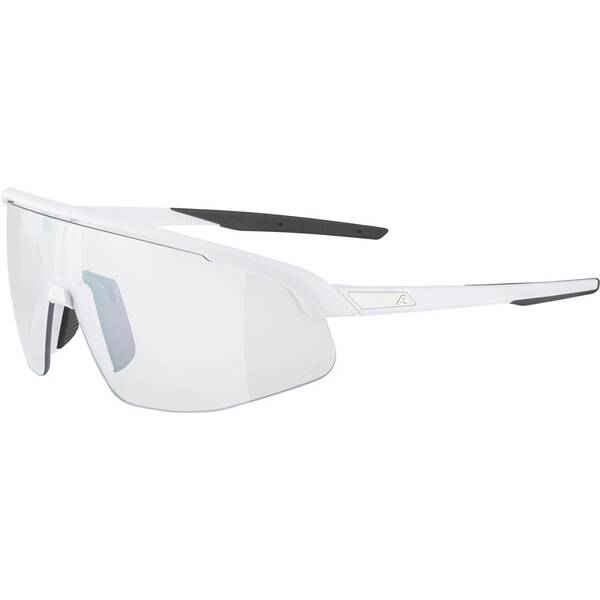 ALPINA Herren Brille TURBO PRO V von Alpina