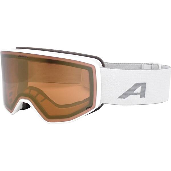 ALPINA Herren Brille VENET QV ALPINA Herren Brille VENET QV von Alpina