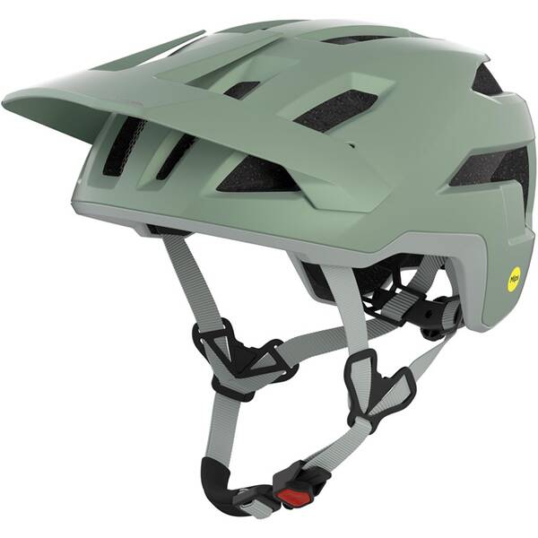 ALPINA Herren Helm TAUNUS MIPS von Alpina