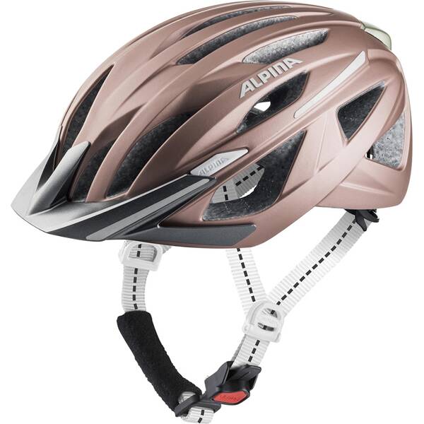 ALPINA Herren Radhelm Haga von Alpina