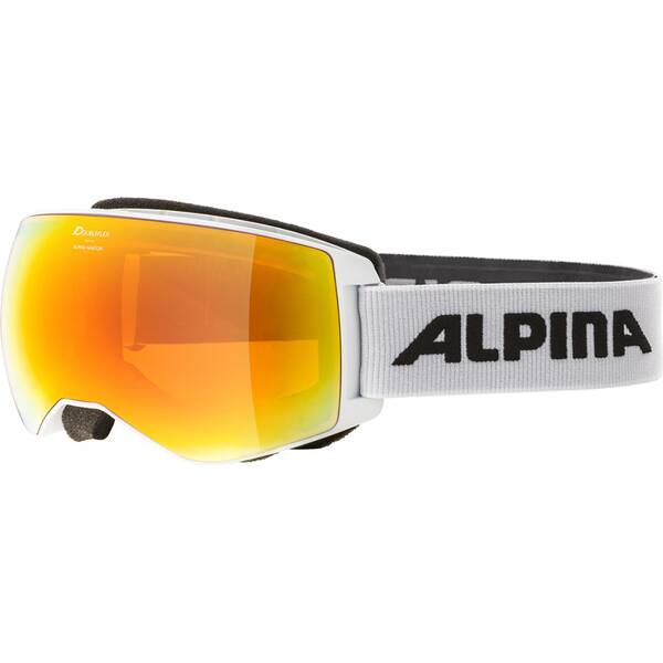 ALPINA Herren Brille NAATOR QLite von Alpina