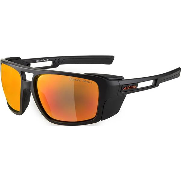 Herren Brille ALPINA SKYWALSH von Alpina