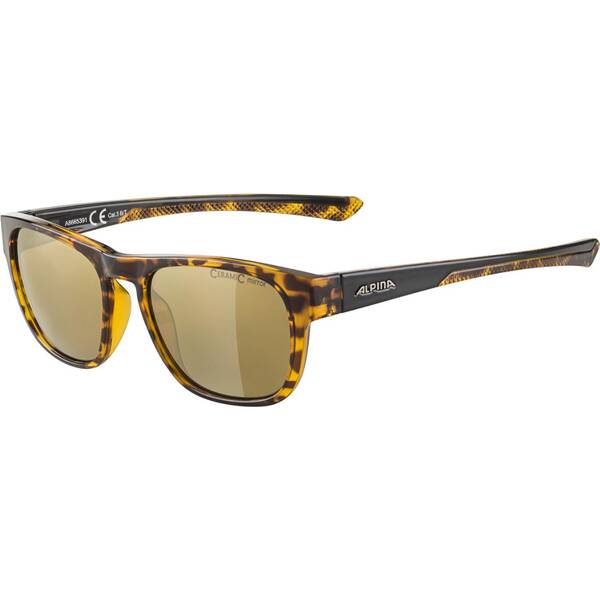 Herren Brille LINO II von Alpina