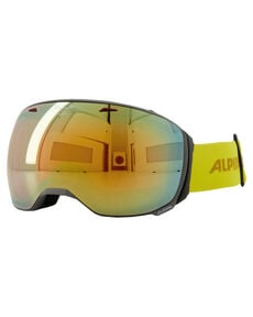 Ski- und Snowboardbrille NAATOR von Alpina