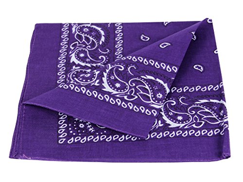 Alsino Bandana Stirnband Rockabilly Durag-Muster Herren-Stirnband - 53 cm x 53 cm 100% Baumwolle, Farbe wählen:Paisley dunkellila von Alsino