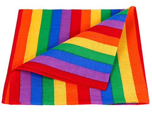 Alsino LGBTQ Accessoires Regenbogen Gay Pride Rainbow Festival Party Flagge Zubehör Bandana Schweißband Hosenträger Rucksack - Set, Motiv wählen:Rainbow Bandana von Alsino