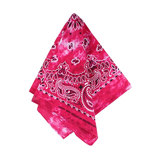 Alsino - Unisex Paisley Biker Schal ca. 54 x 54 cm Einheitsgröße für alle, Farbe wählen:pink Paisley Blüten von Alsino