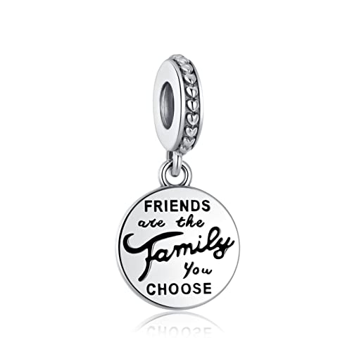Alstiva Friends Are Family Charm-Anhänger 925 Sterling Silber 5A Zirkonia Charm Anhänger für Armband Charm Bead Pendant für Europäische Armbänder Halsketten Schmuck Geschenk für Damen Frauen Alstiva Friends Are Family Charm-Anhänger 925 Sterling Silber 5A Zirkonia Charm Anhänger für Armband Charm Bead Pendant für Europäische Armbänder Halsketten Schmuck Geschenk für Damen Frauen von Alstiva