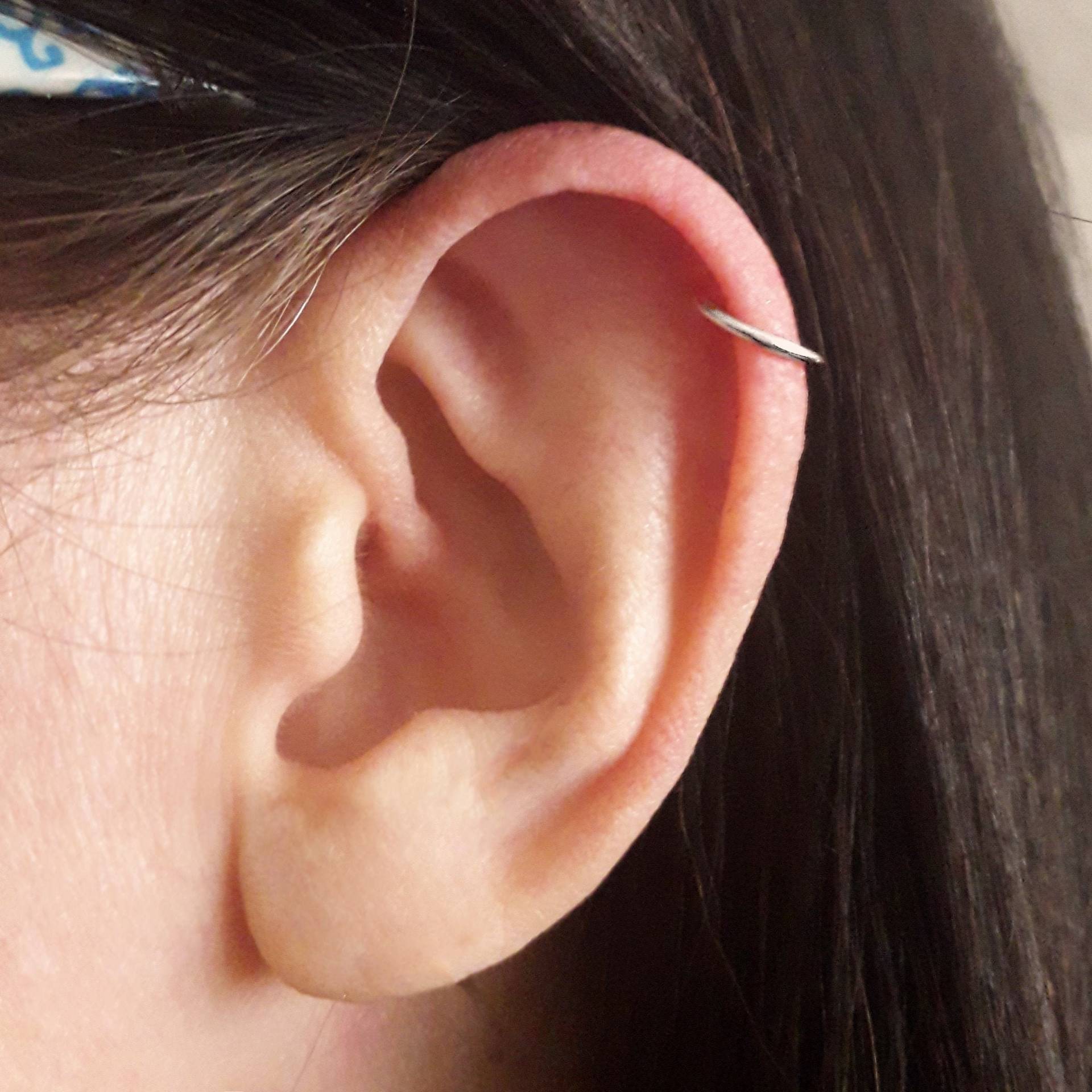 Silber Helix Ring, Tragus Hoop, Minimal Huggie Ohrringe, Gold Hoops, Rose Huggies, Kleine Schläfer Ohrringe von AlteredElegance