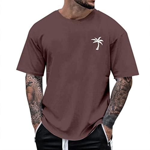 Alueeu Herren Oversized Tshirt Rundhals Kurzarm Lose Sommer Oberteile Mode T-Shirt mit Los Angeles Grafik Kreativen Buchstaben Vintage Drucken Streetwear Sport Casual Lang Tops, XXL von Alueeu