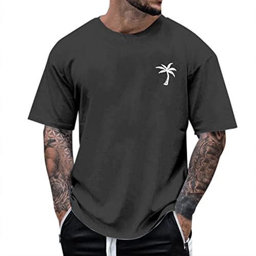 Alueeu Herren Oversized Tshirt Rundhals Kurzarm Lose Sommer Oberteile Mode T-Shirt mit Los Angeles Grafik Kreativen Buchstaben Vintage Drucken Streetwear Sport Casual Lang Tops, XL von Alueeu