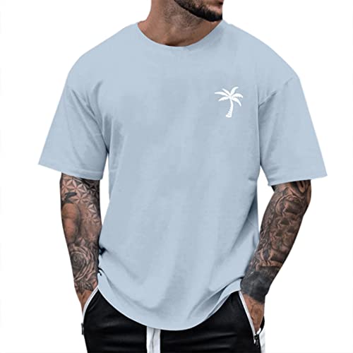 Alueeu Herren Oversized Tshirt Rundhals Kurzarm Lose Sommer Oberteile Mode T-Shirt mit Los Angeles Grafik Kreativen Buchstaben Vintage Drucken Streetwear Sport Casual Lang Tops, XL von Alueeu