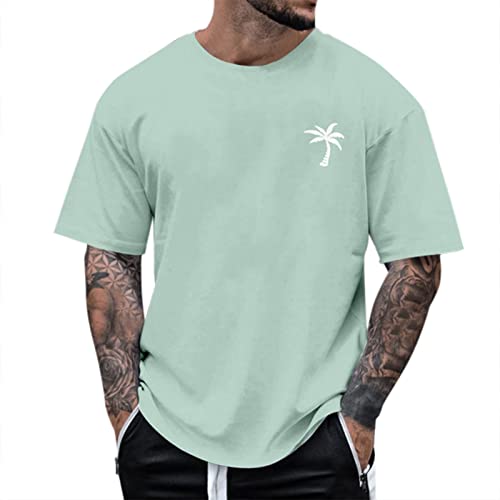 Alueeu Herren d Tshirt Rundhals Kurzarm Lose Sommer Oberteile Mode T-Shirt mit Los Angeles Grafik Kreativen Buchstaben Vintage Drucken Streetwear Sport Casual Lang Tops, XXL, A-002 Mintgrün von Alueeu