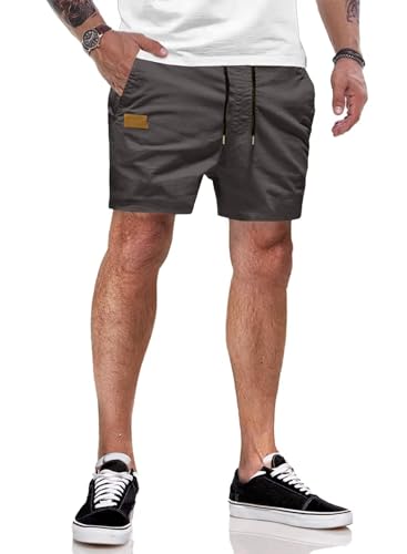 AlvaQ Kurze Hosen Herren Bermudas Herren Shorts Herren Baumwolle Freizeithose Sommer Chino Shorts Herren Mit Taschen Grau von AlvaQ