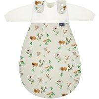 Alvi® Baby-Mäxchen® 3tlg. Koalas World von Alvi