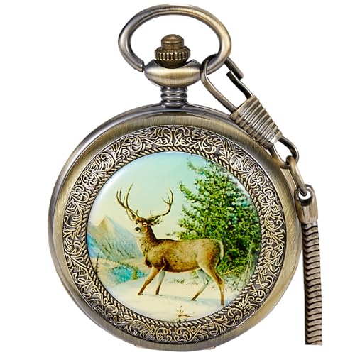 Alwesam Luxuriöse Zwei Unterzifferblätter Mechanische Taschenuhr Handaufzug Bronze Legierung Skelett Rückseite Mit Kette Retro Römische Ziffern Uhr, Grün/Braun von Alwesam