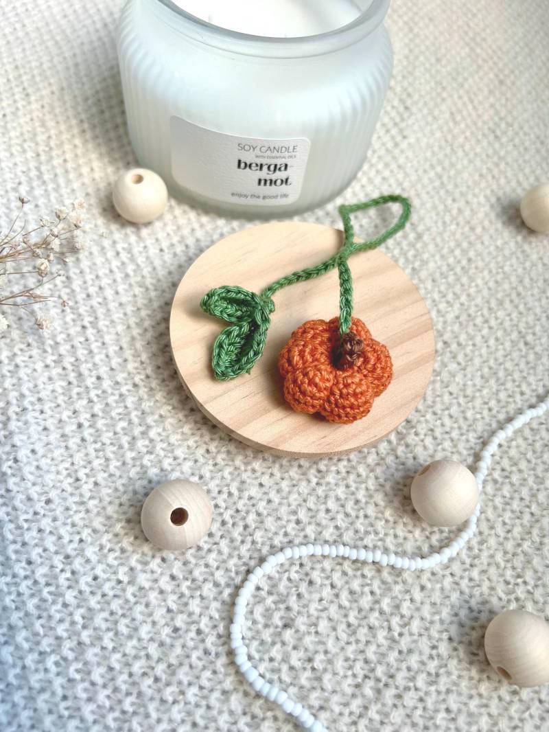 Gehäkelter Kürbis Schlüsselanhänger Autoanhänger Rückspiegel Taschenanhänger Amigurumi Geschenk Gehäkelter Kürbis Schlüsselanhänger Autoanhänger Rückspiegel Taschenanhänger Amigurumi Geschenk von AmOlivenbaum