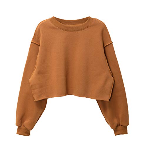 Amazhiyu Damen Pullover Fleece Cropped Hoodie Lange Ärmel Casual Crop Top für Herbst Winter, braun, 46 von Amazhiyu