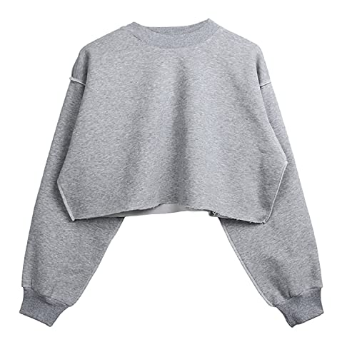 Amazhiyu Pullover Damen Beschnitten Pullover Sweatshirt Langarm Rundhals Pulli Herbst Winter ohne Kapuze Bluse Tops grau von Amazhiyu