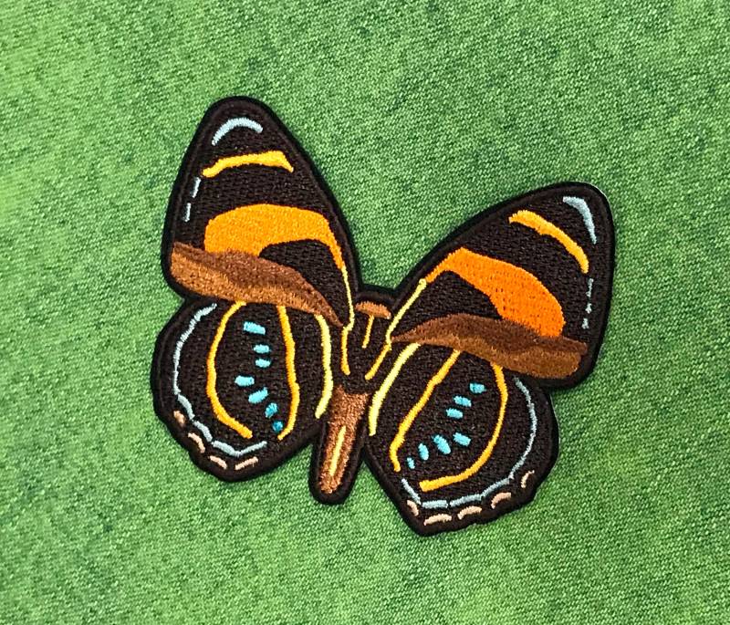 Aegina Numberwing Schmetterling von AmazingPatches