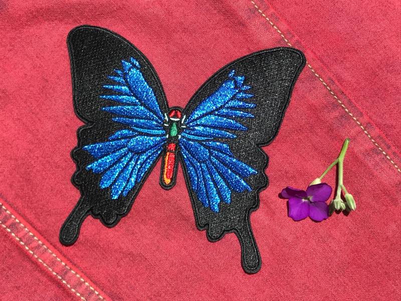 Blauer Kaiser Schmetterling von AmazingPatches