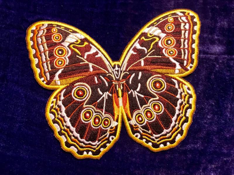 Blauer Morpho Schmetterling | Unterseite von AmazingPatches