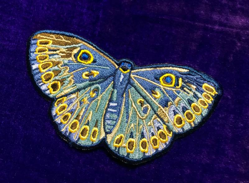 Dardus Unterblatt Schmetterling von AmazingPatches