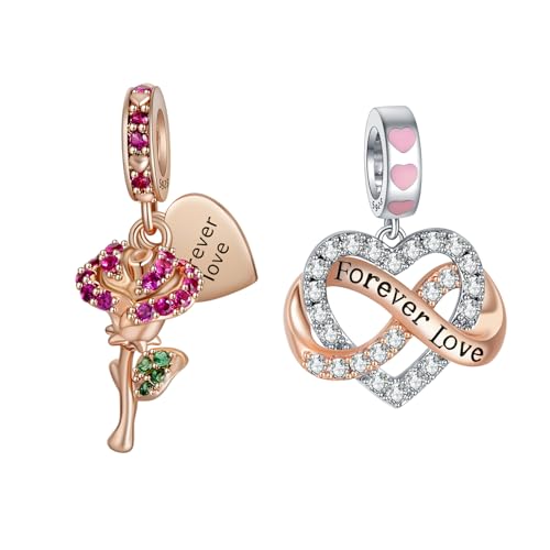 Amieween 925 Sterling Silber Charm für Damen Armbänder Halskette Infinite Love Anhänger Glod Rose Charm 5A Zirkonia Charms für Damen 2er Pack von Amieween