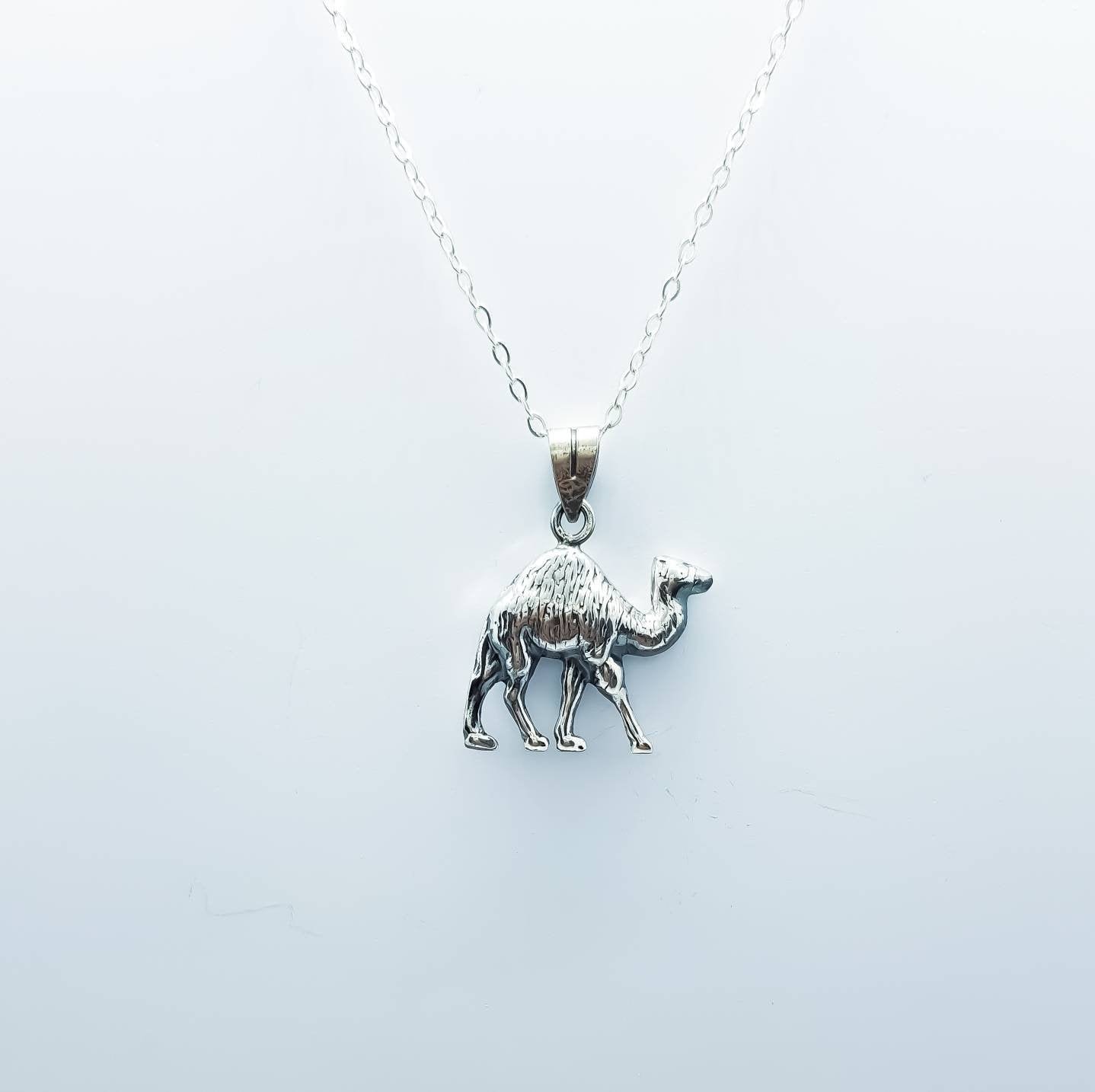 sterling Silber Camel Halskette, Doppelseitiger Charm, Geschenk, Andenken, Schmuck von AminaGadjewelry
